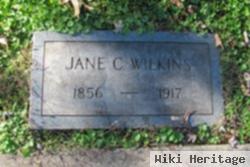 Mary Jane Coleman Wilkins