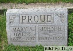 Mary Ann Owens