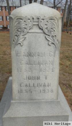 John T Gallivan