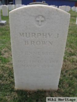 Murphy J Brown