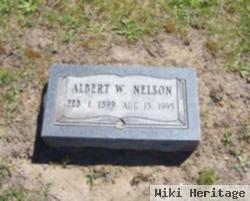 Albert W. Nelson