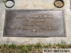 Andy James Beal