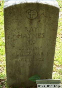 Ray Haynes