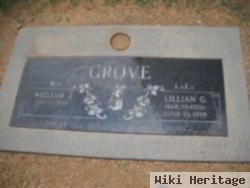 William J. Grove