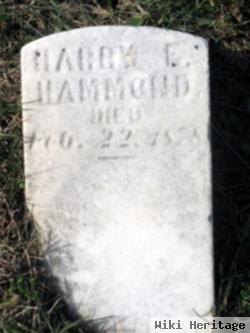 Harry E. Hammond