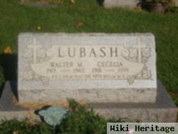 Walter M Lubash