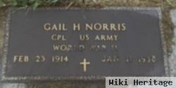 Gail H Norris