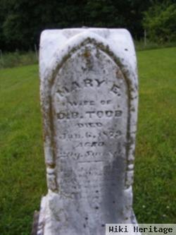 Mary Emily Pilcher Todd