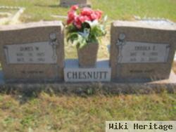 Theola E. Chesnutt