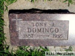 Tony Jess Domingo