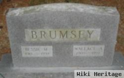 Wallace A. Brumsey