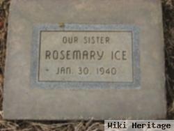 Rosemary Ice