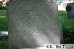 Lester S. Card