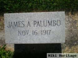 James Anthony Palumbo