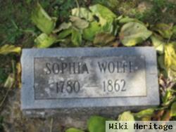 Sophia Larre Wolfe