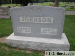 Mary E Johnson