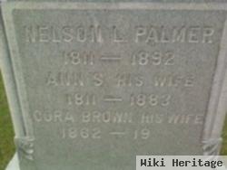 Nelson Lott Palmer