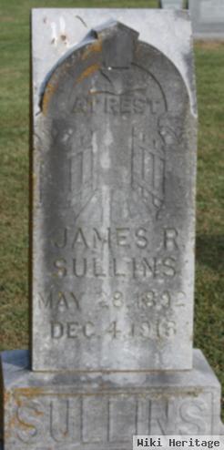 James R Sullins