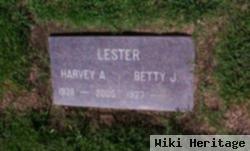 Betty J Lester