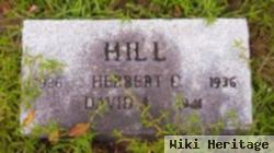 David I. Hill