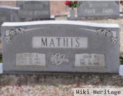 Adam Martin Mathis