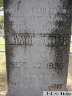 Mary Wayne Spitler Cason