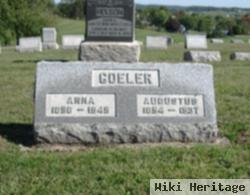 Anna Haskinson Goeler