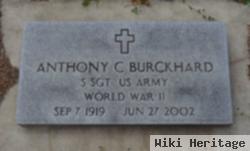 Anthony C Burckhard