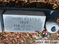 Andrea Lynn Tripp