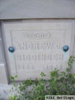 Andrew Jonathan "andy" Biddinger