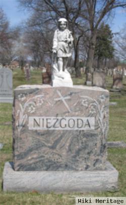 Joseph Niezgoda