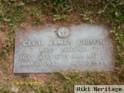 Cecil James Gibson