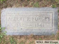 Albert R Forgey