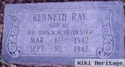 Kenneth Ray Sylvester