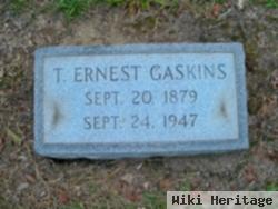 Theodore Ernest Gaskins