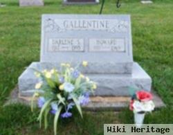 Darlene S Gallentine