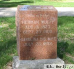 Herman Virginia Wulff