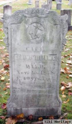 Capt George W Williams