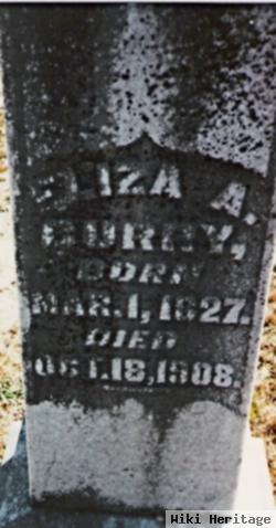 Elizabeth Ann "eliza" Burdette Curry