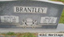 Quincey L. Brantley