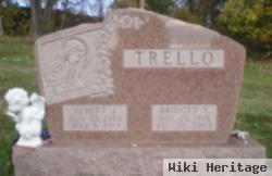 Albert J. Trello