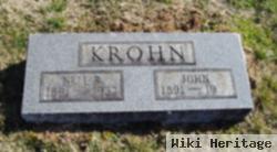 John Henry Krohn