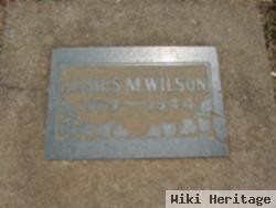 James M Wilson