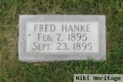 Friedrich W Hanke