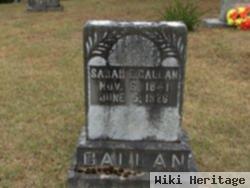 Sarah E. Callan