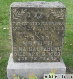 Dina Saltzberg