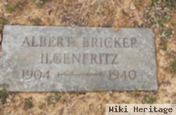 Albert Bricker Ilgenfritz