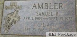 Samuel R Ambler