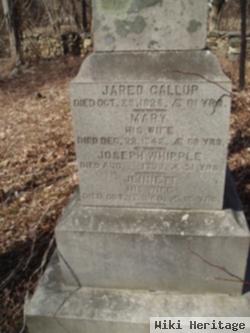 Mary Whipple Gallup