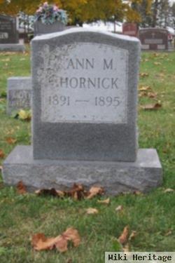 Ann M Hornick